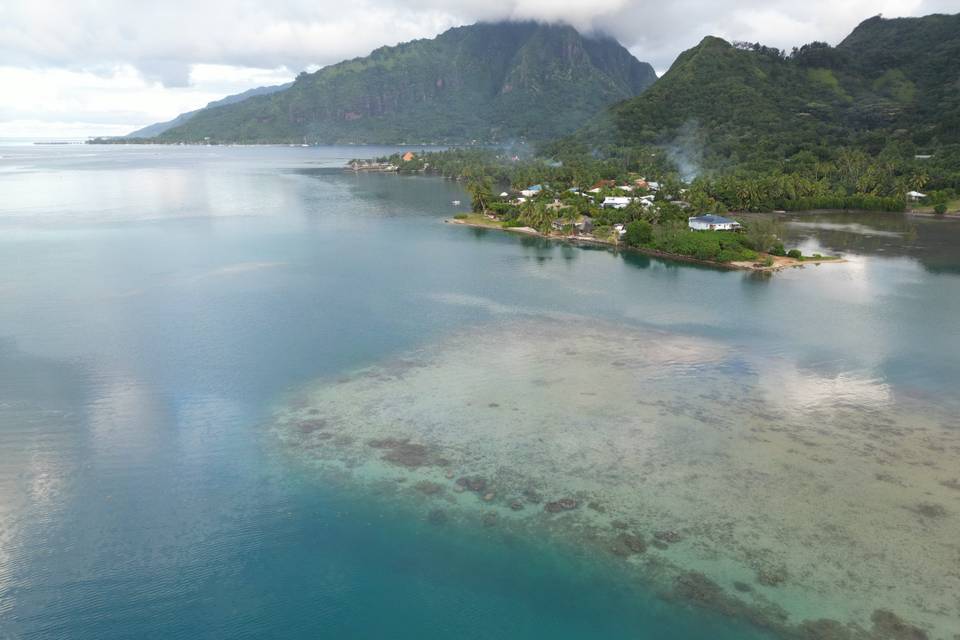Moorea