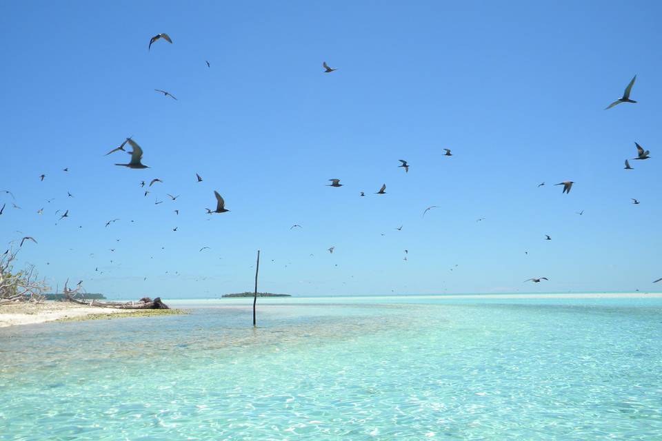 Tetiaroa