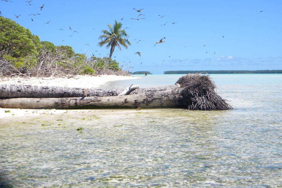 Tetiaroa