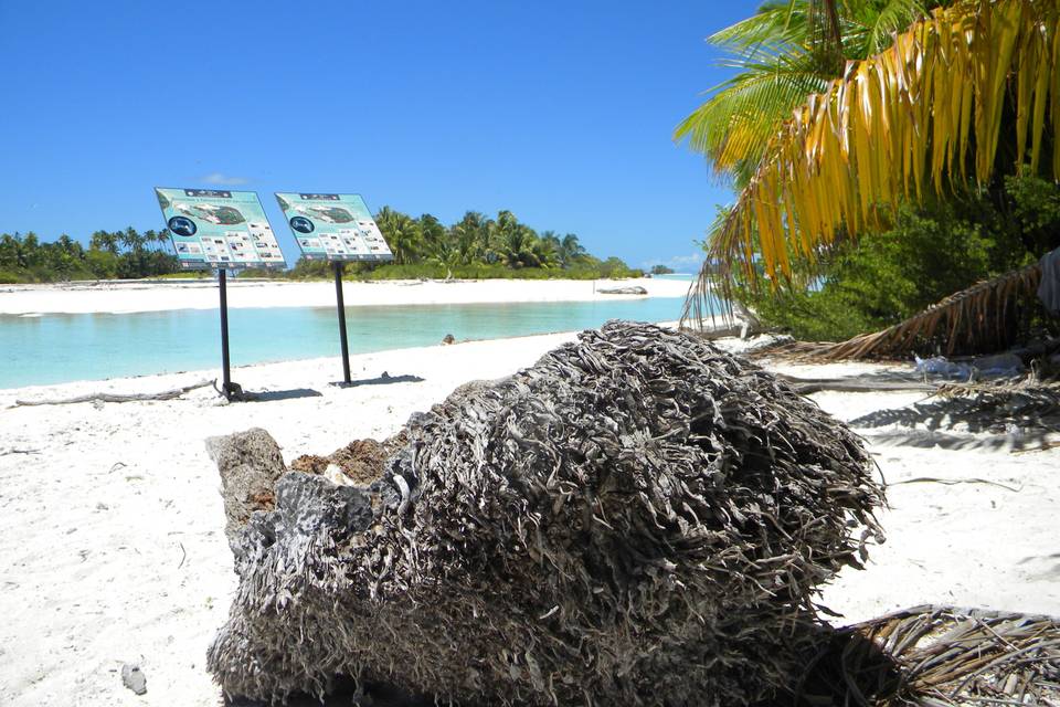 Tetiaroa