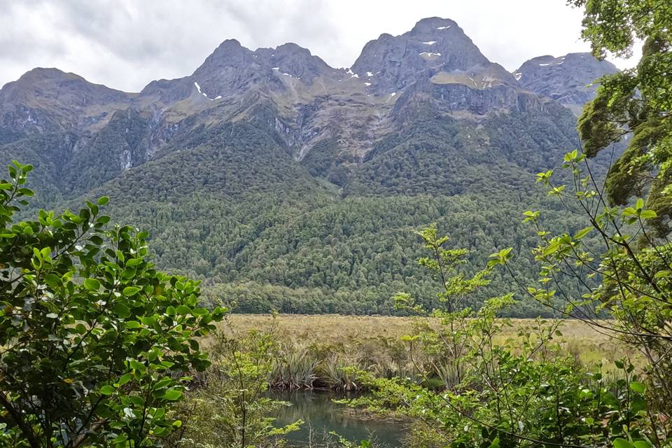 Nouvelle-Zélande