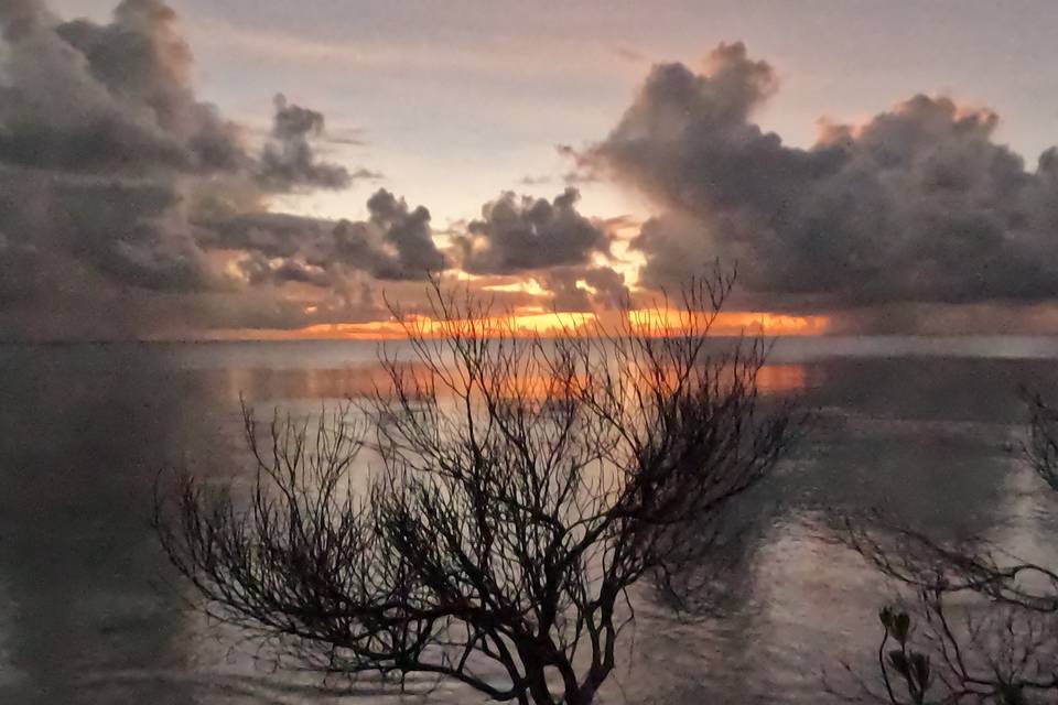 Tahiti