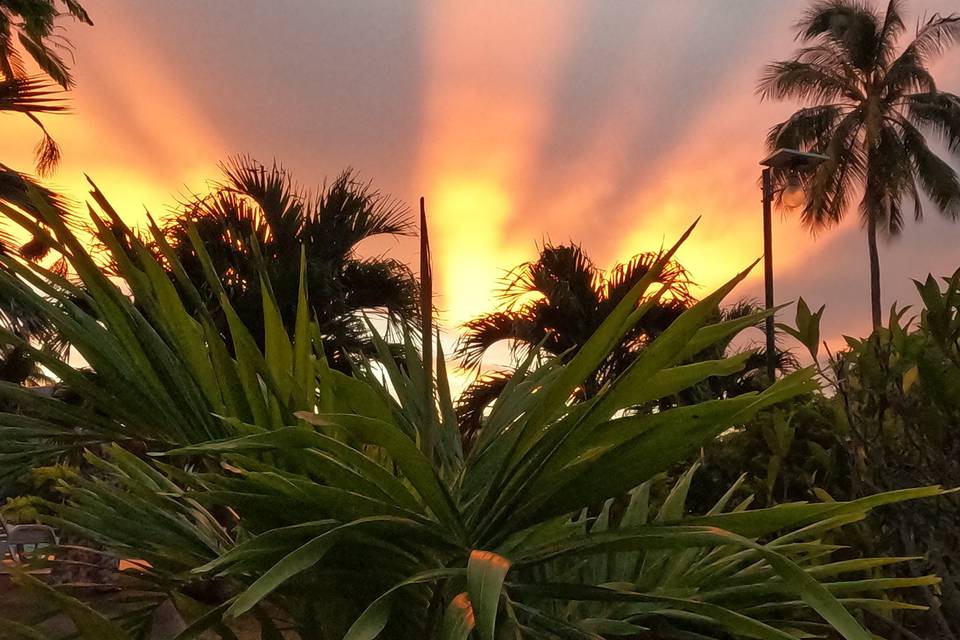 Tahiti