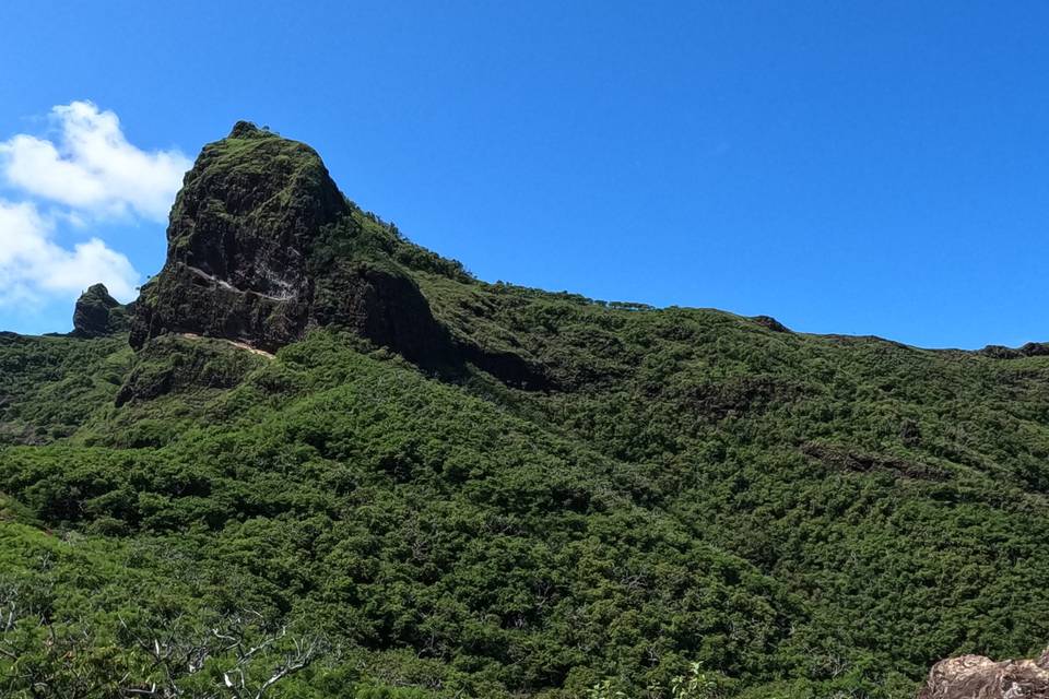 Îles Marquises
