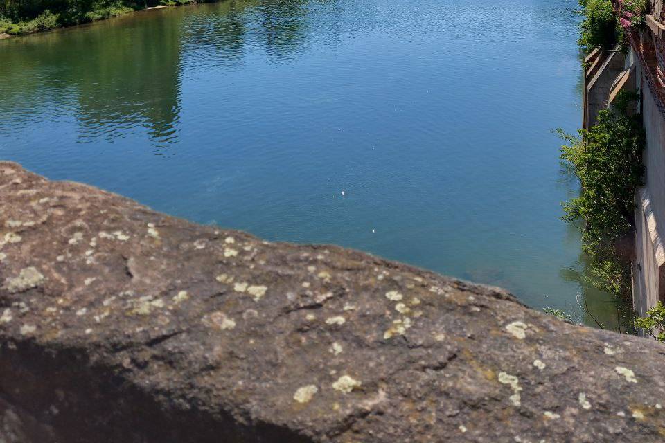 Albi