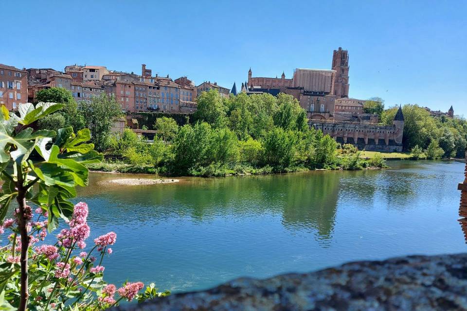 Albi