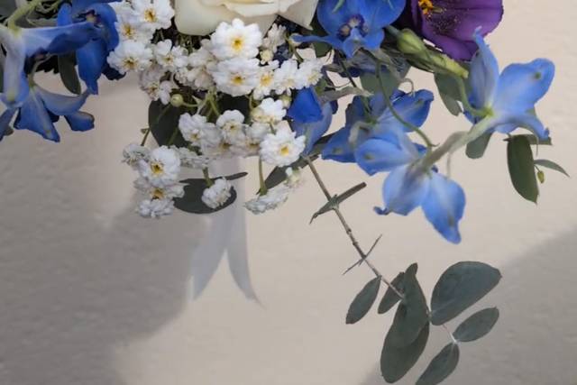 Fleurs & Brindilles