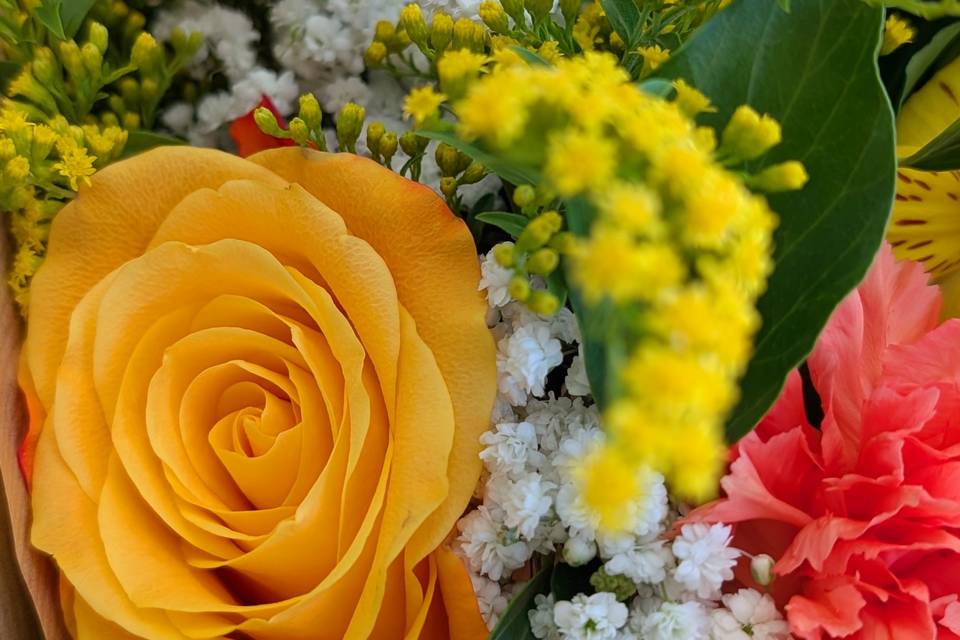Fleurs & Brindilles