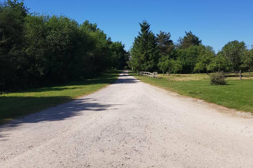 Chemin d'accès
