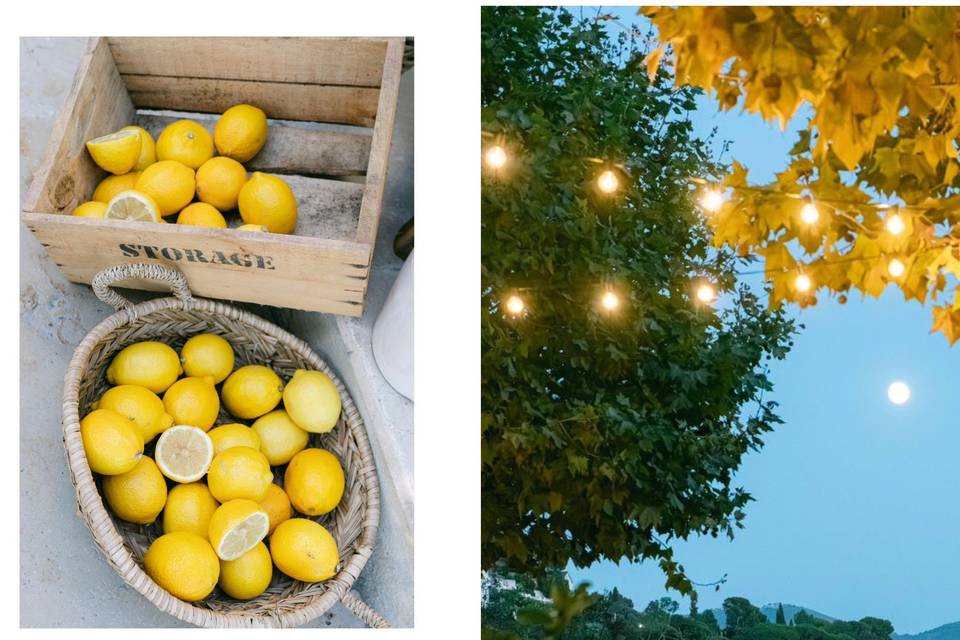 Theme Citron
