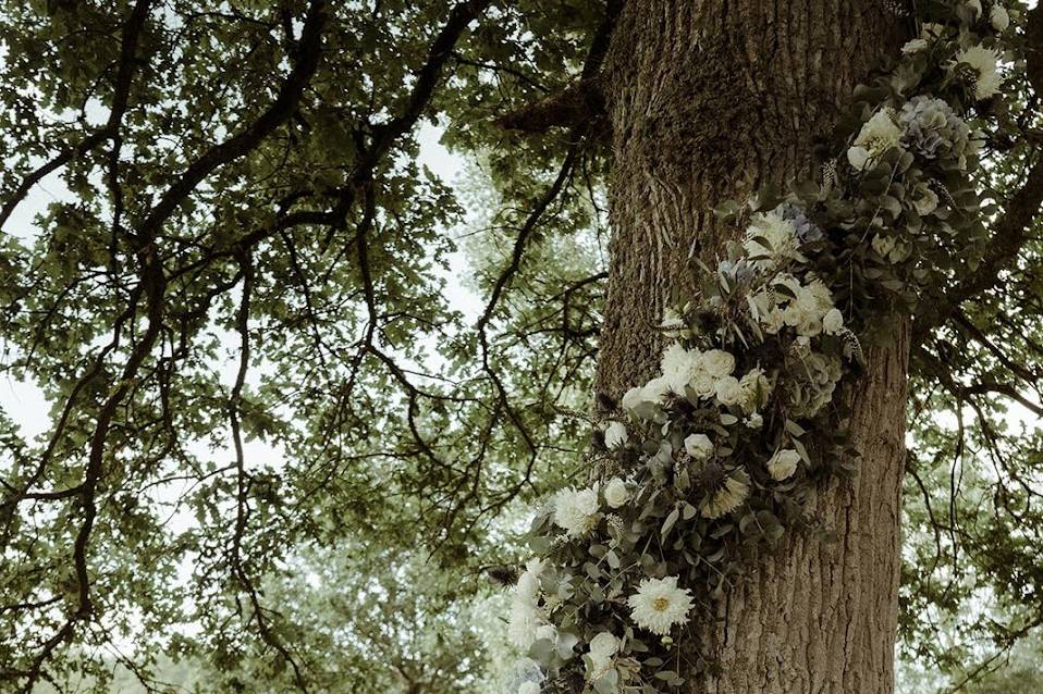 Reflets Fleurs