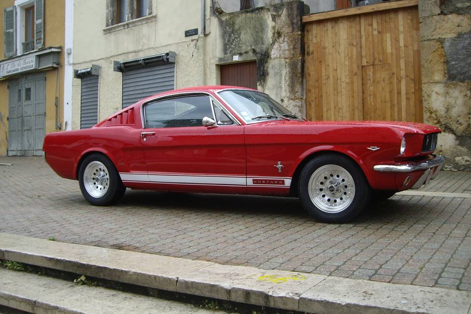 Mustang à louer