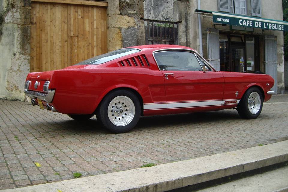 Mustang à louer