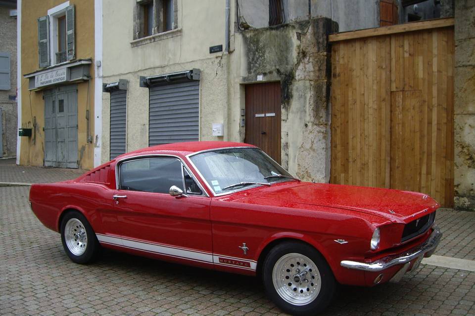 Mustang à louer