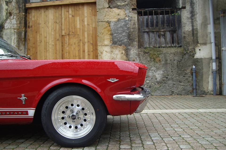 Mustang à louer