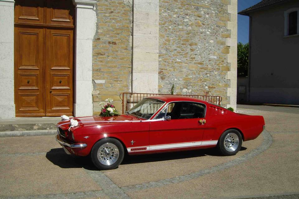 Mustang à louer