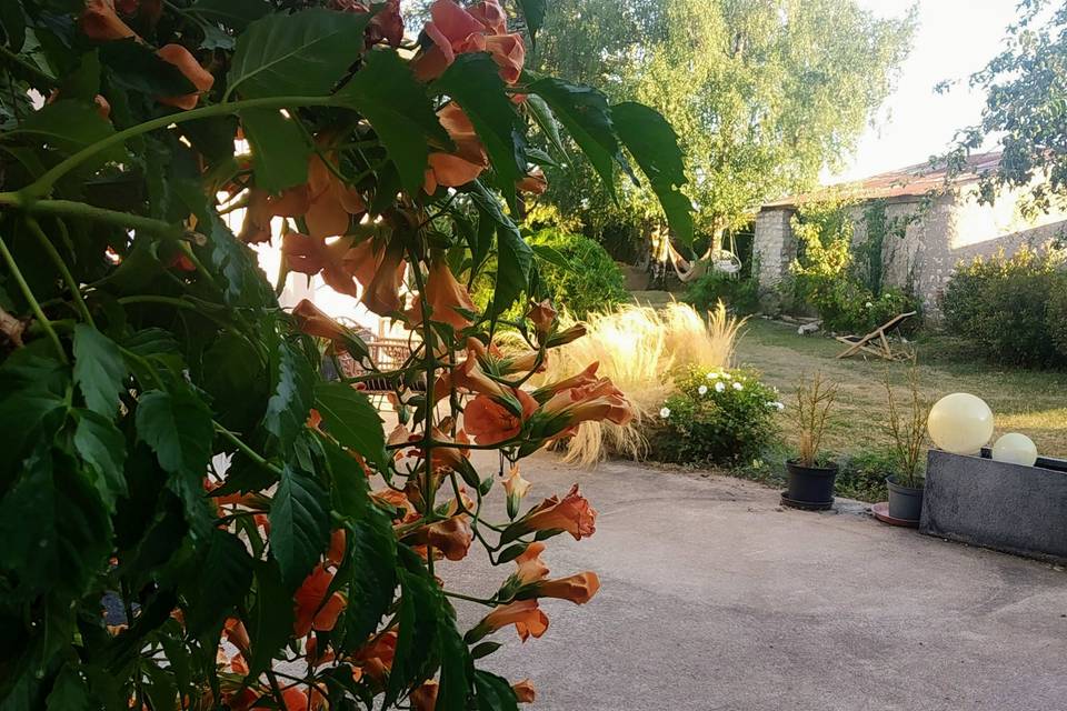 Vue sur le jardin