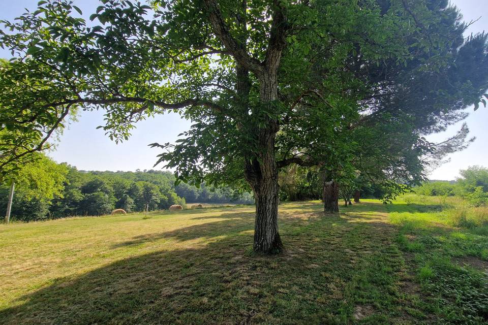 Les Gîtes du Bonheur