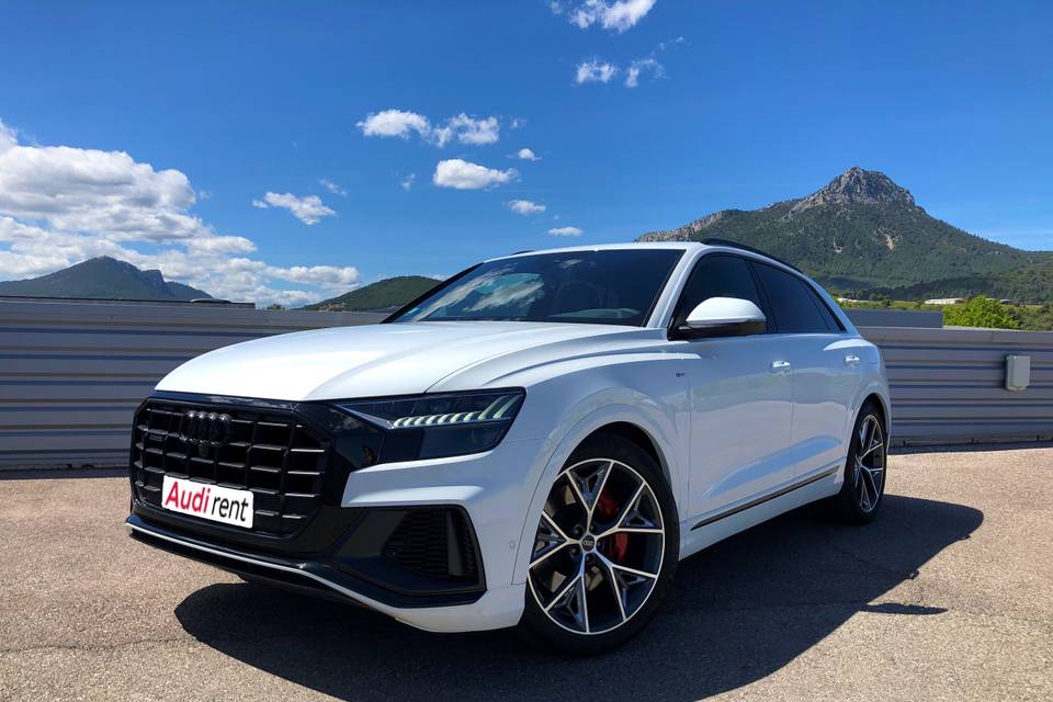 Audi Q8 TFSIE