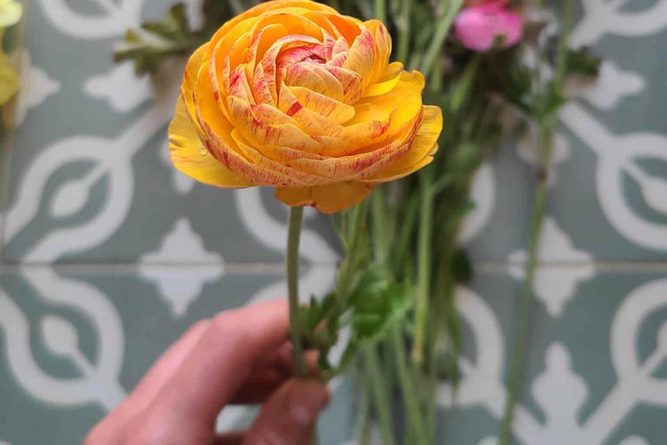 Audette Fleurs