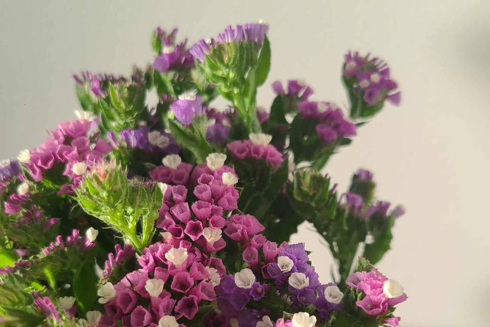 Audette Fleurs