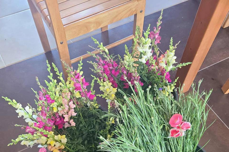 Audette Fleurs