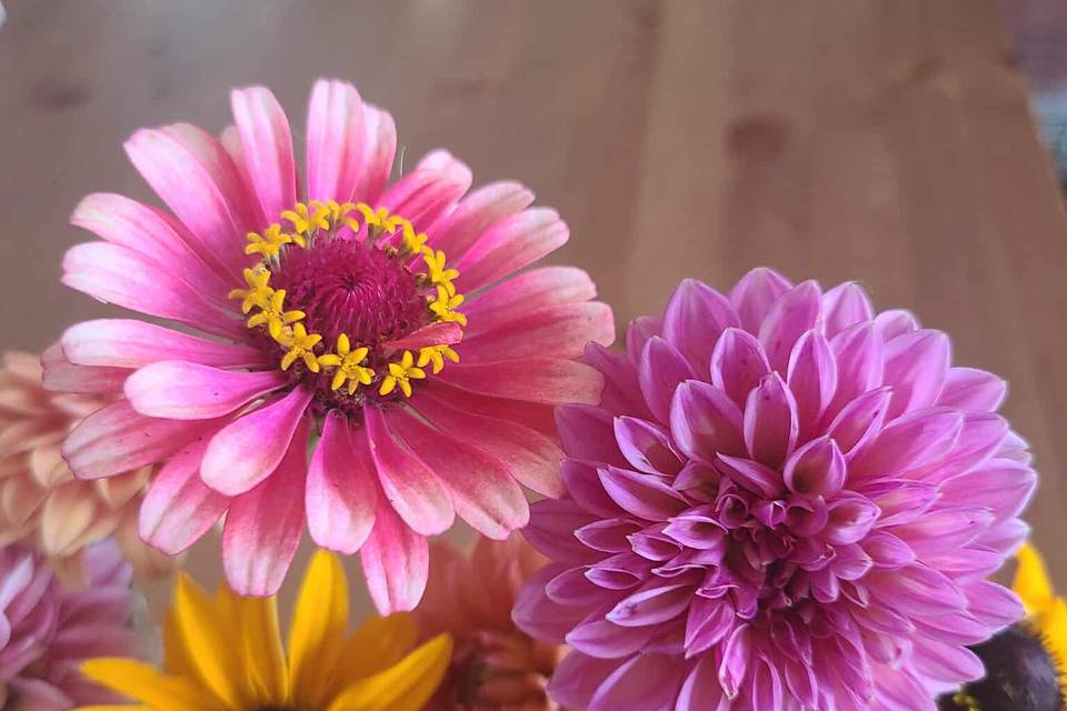Audette Fleurs