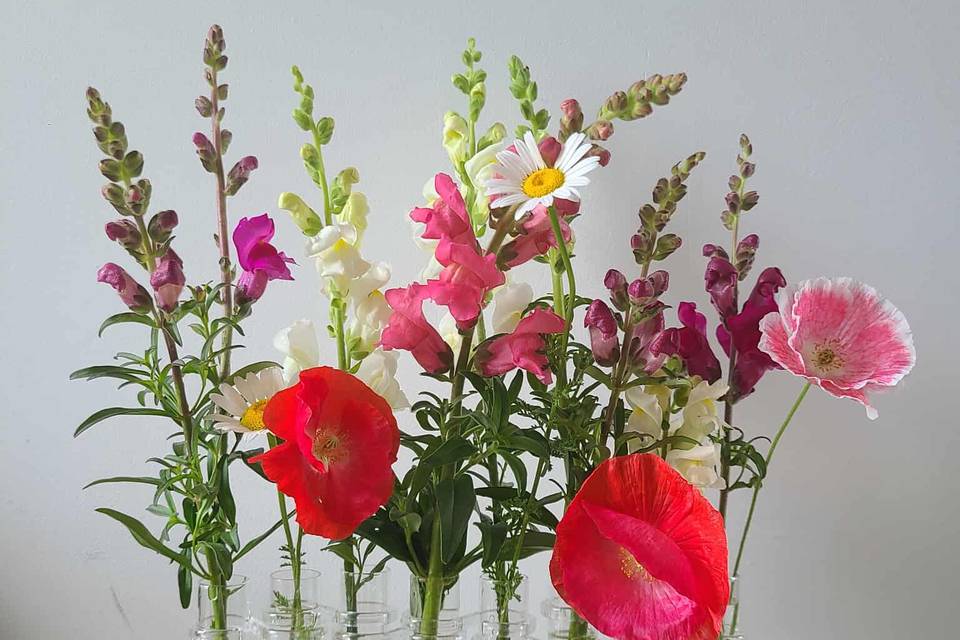 Audette Fleurs