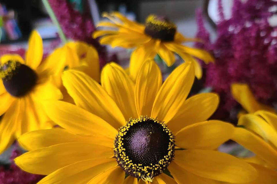 Audette Fleurs