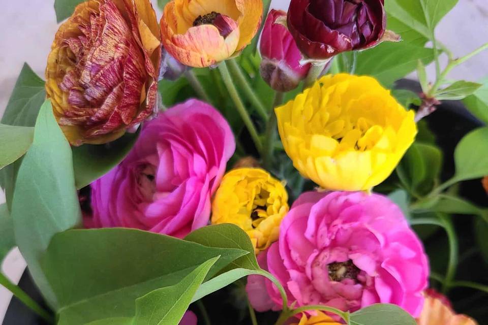 Audette Fleurs