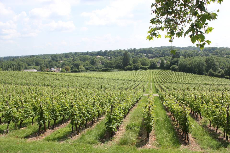 Château de la Ligne