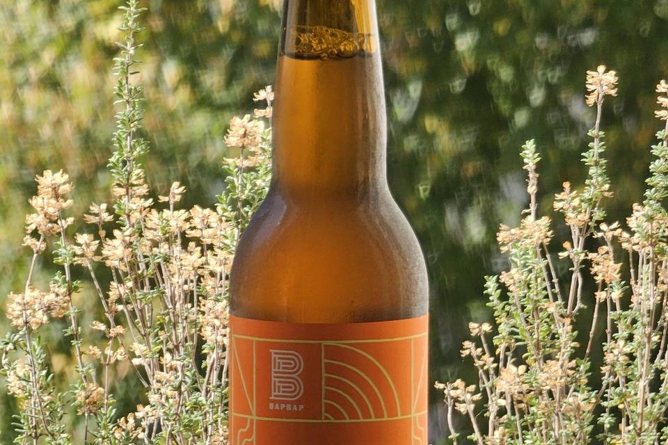 Biere La Guinguette Nomade