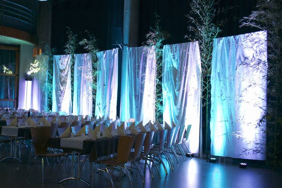 Déco éclairages LED (2)