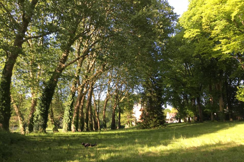 Parc du château