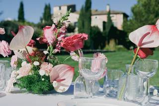Agence Pivoine & Amour