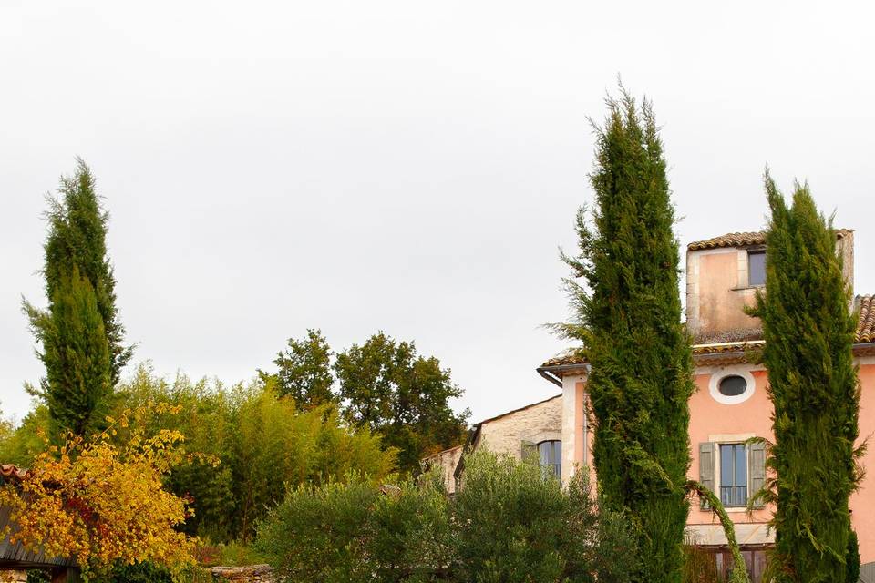 Agence Pivoine & Amour