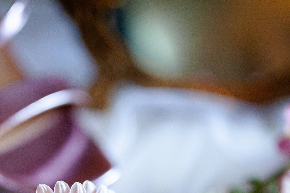 Agence Pivoine & Amour