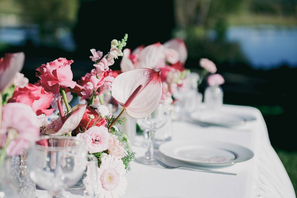 Agence Pivoine & Amour