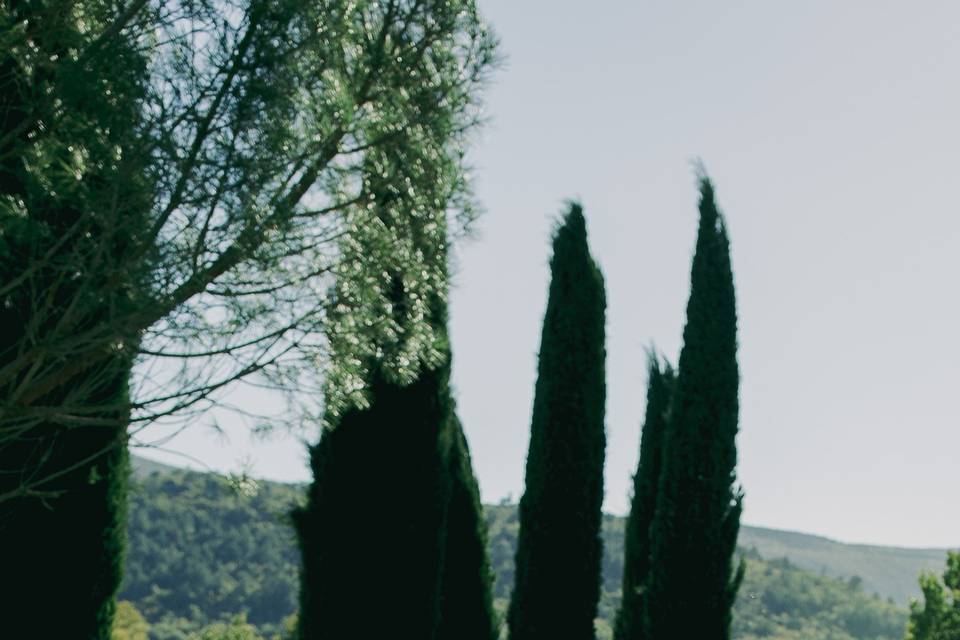 Agence Pivoine & Amour