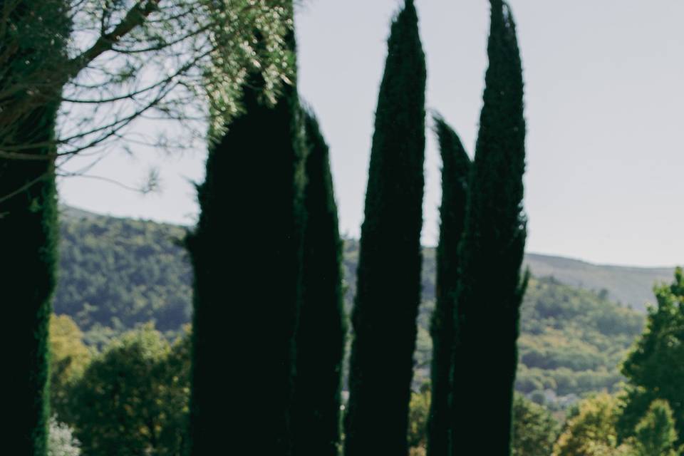 Agence Pivoine & Amour