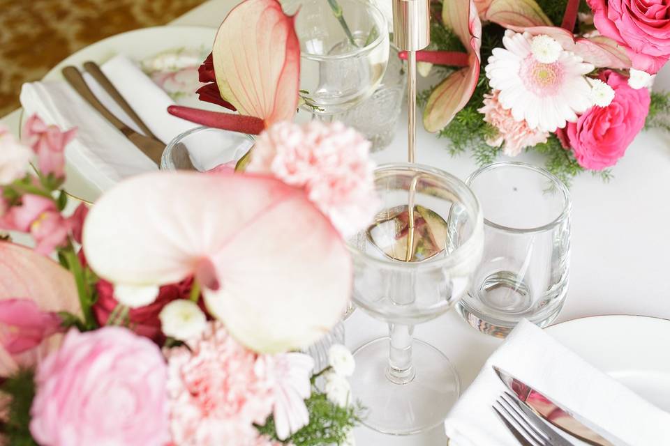 Agence Pivoine & Amour