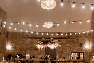 Wood Concept Reception