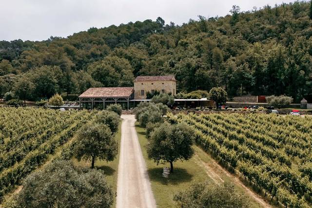 Vignes