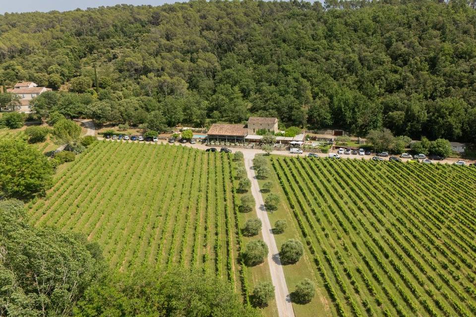 Le domaine