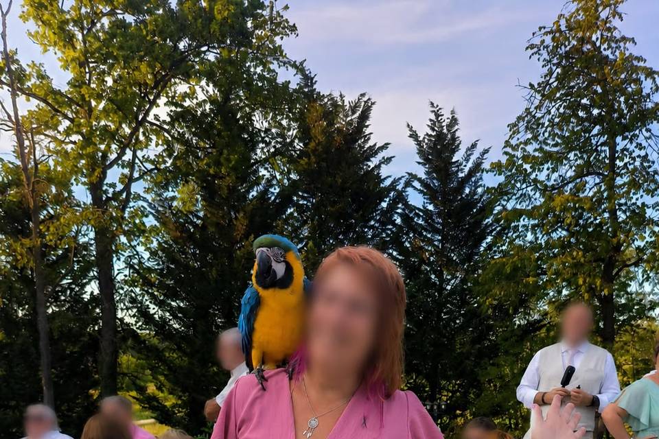Séance photo