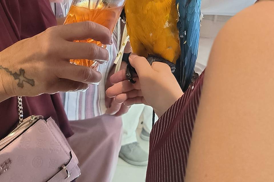 Surprise à une petite soif