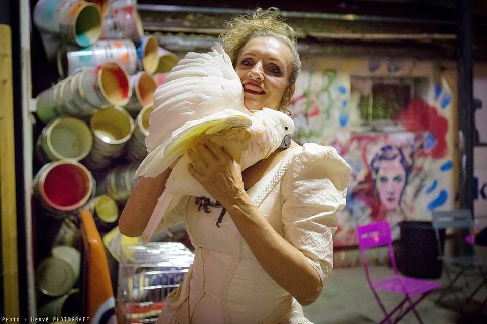 Le cacatoès