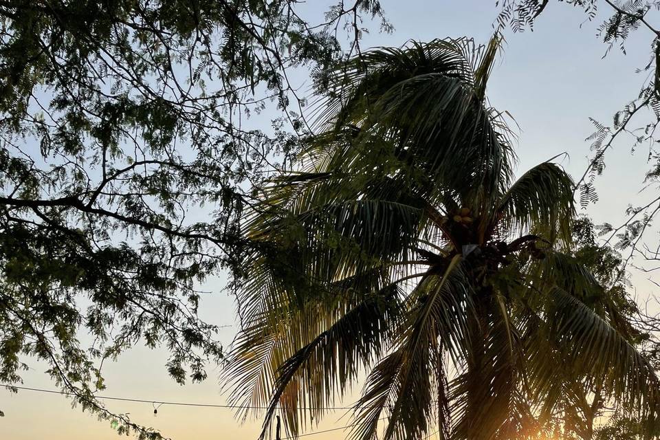 Epoca Voyages - Nicaragua