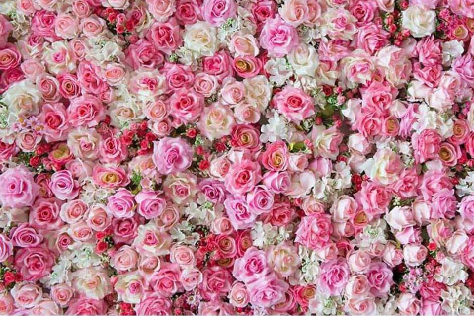 Toile de fond weeding