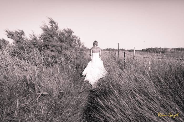 Rémi Gazel Photo - Mariages